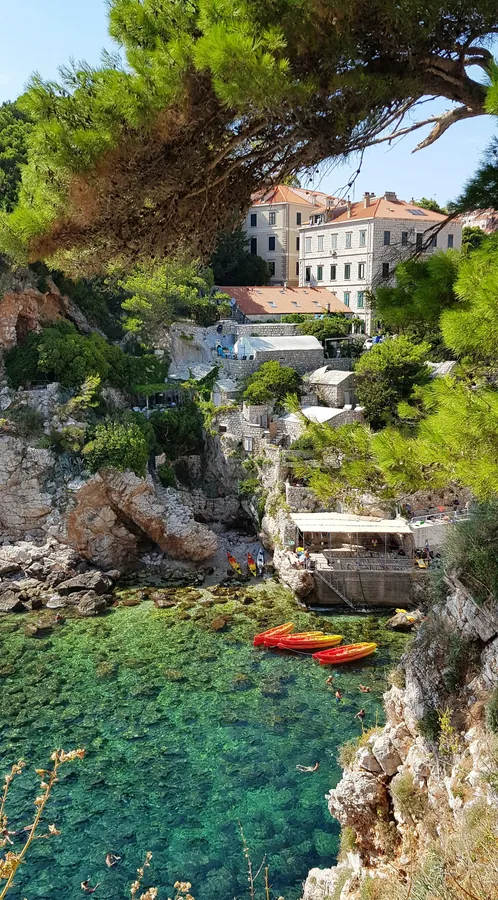 A pine-shaded cove of clear turquoise water below the stone houses of Dubrovnik